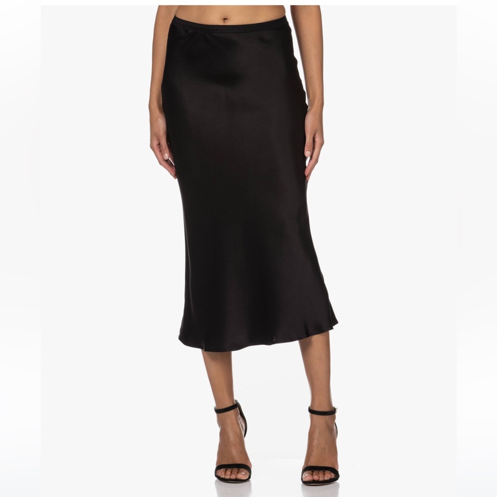 Anine Bing Bar Silk Skirt Size Large